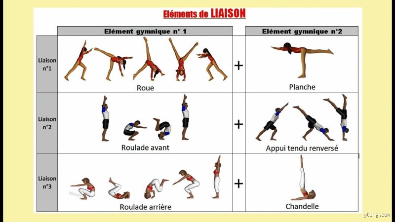 Découvrir les 10 éléments gymniques essentiels