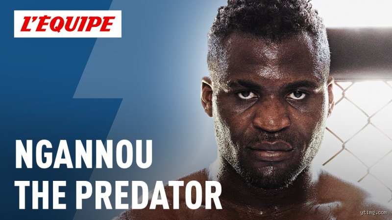 La Vérité sur le Palmarès : Qui a Réellement Battu Francis Ngannou ?