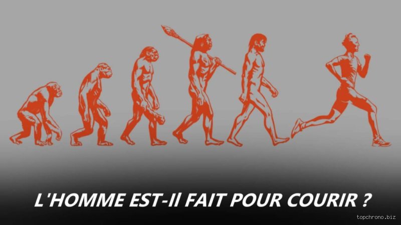 Un être humain peut-il courir à 35 km/h ? Enquête aux frontières de la physique et de la biomécanique