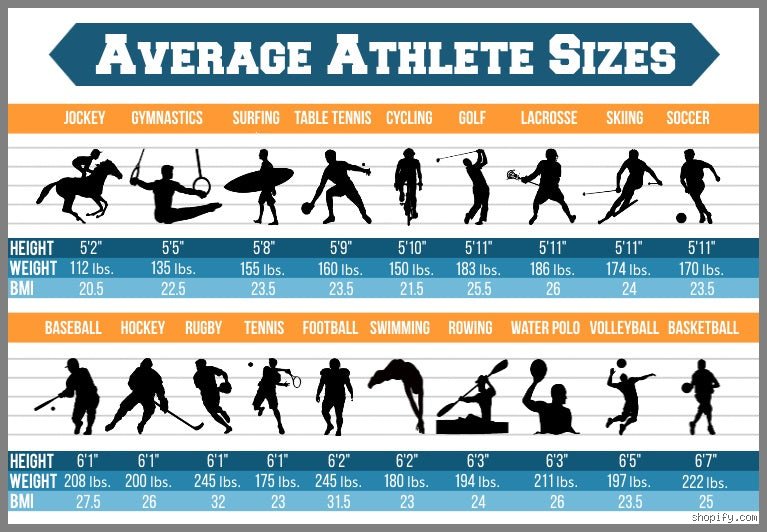 What sport has the tallest average height ? Enquête sur les géants des parquets et des terrains de sable