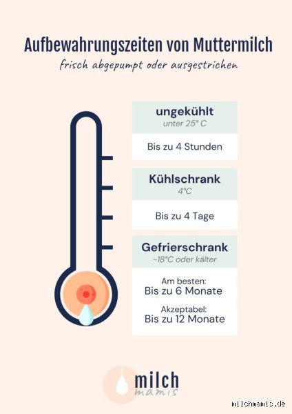 Wann ist die Milchproduktion am höchsten? Ein Blick auf den besten Zeitpunkt für die meiste Muttermilch