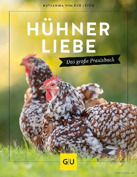 Können Hühner Liebe empfinden? Die Wahrheit über die Gefühle unserer gefiederten Freunde