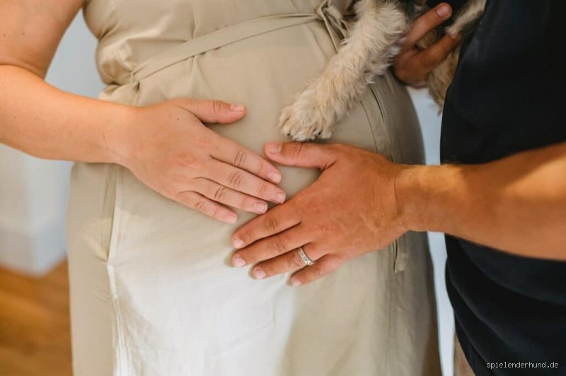 Können Hunde riechen, ob man schwanger ist?