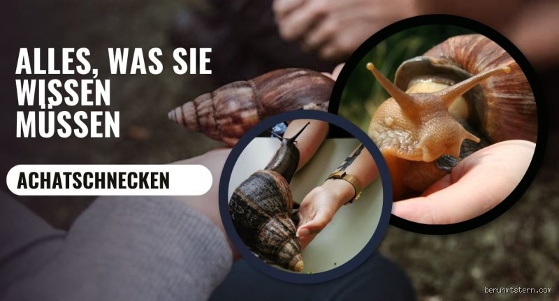 Warum sterben Achatschnecken?