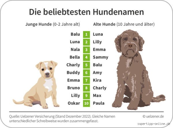 Was bedeutet der Hundename Bella?