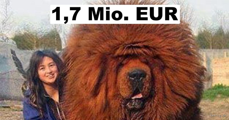 Was ist das teuerste Tier der Welt? Die Wahrheit hinter den Millionenpreisen