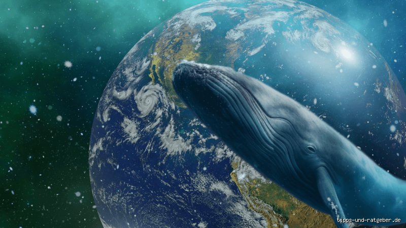 Was sind die 5 größten Tiere der Welt? Eine spannende Entdeckungsreise durch die Giganten der Tierwelt