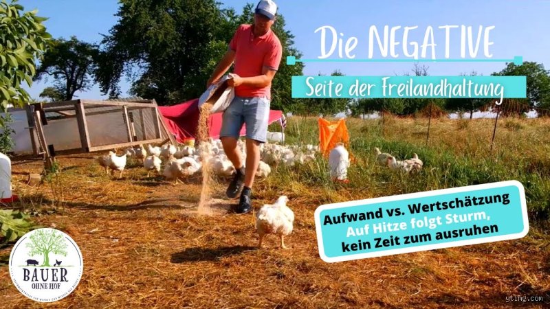 Was sind die Nachteile der Freilandhaltung?