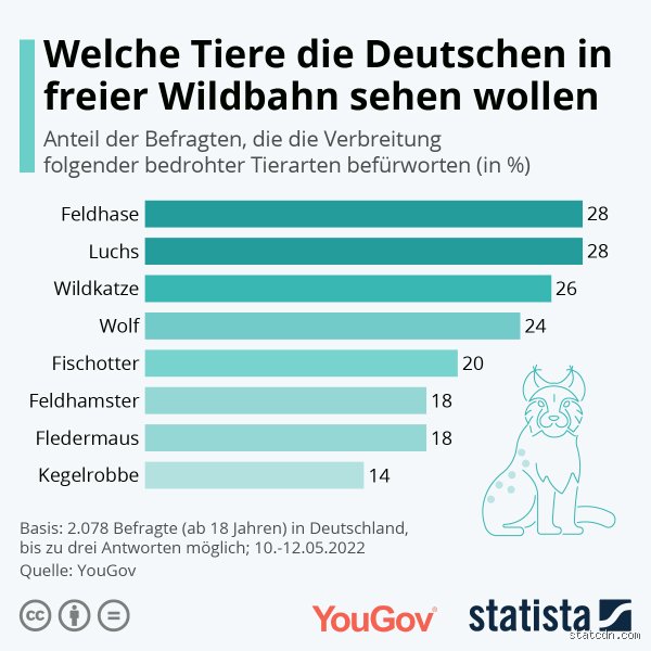 Welches Tier sieht besser als der Mensch?