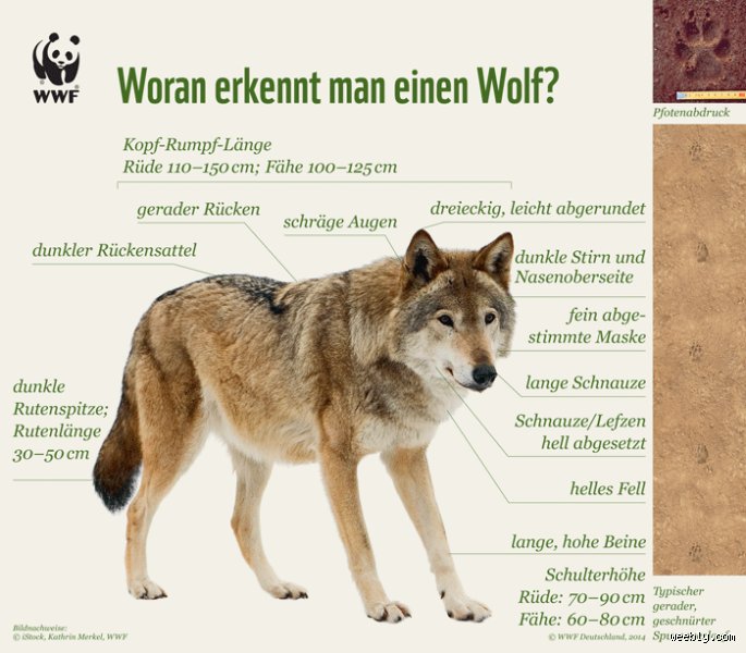 Wie markieren Wölfe?