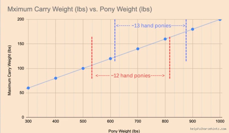 Wie viel kg darf ein Pony tragen?