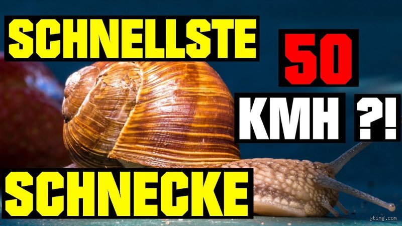 Wie viel kmh ist eine Schnecke schnell?