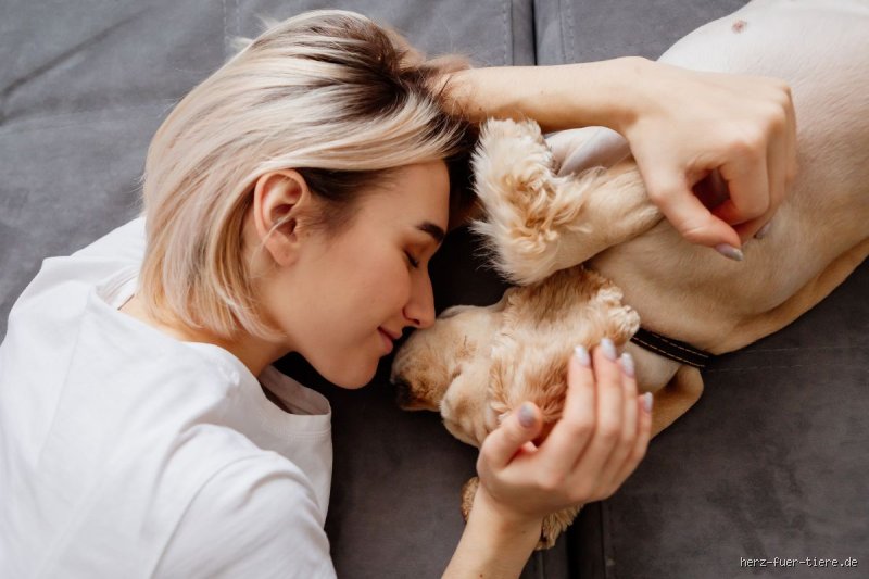 Wie zeigt ein Hund, dass er kuscheln will?