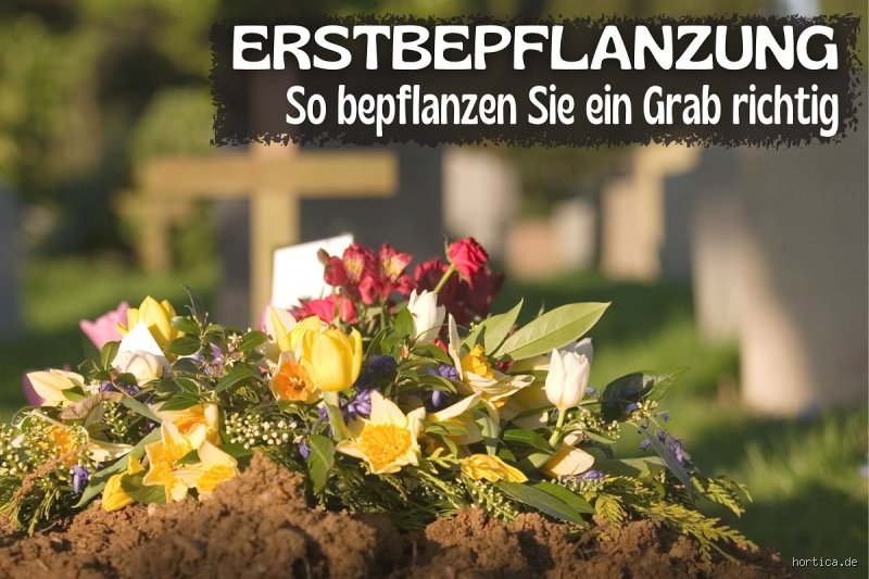 Wie lange lässt man Blumen nach der Beerdigung auf dem Grab?