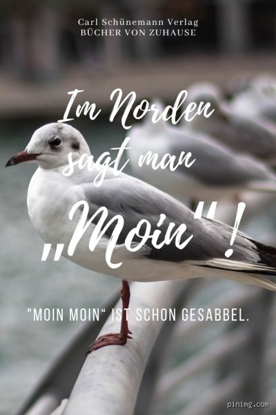 Moin Moin: Warum sagt man im Norden eigentlich so?