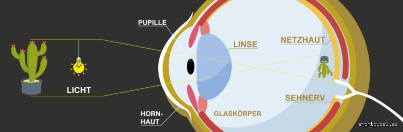 Was bedeutet in die Augen schauen?
