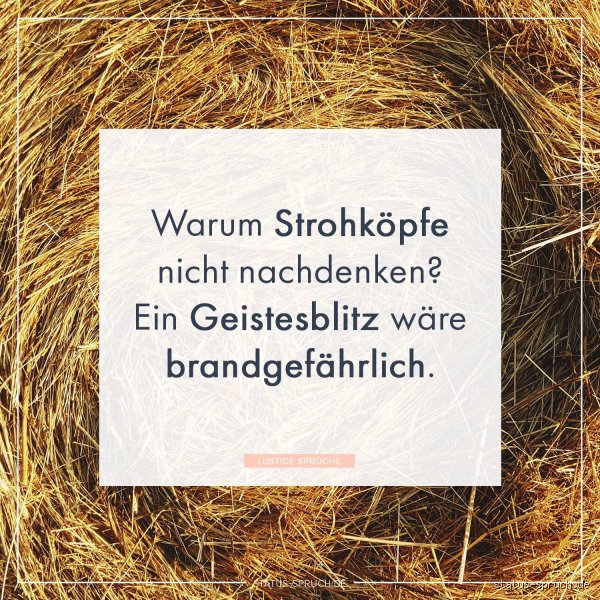 Was ist ein lustiger Spruch? Alles, was du darüber wissen musst