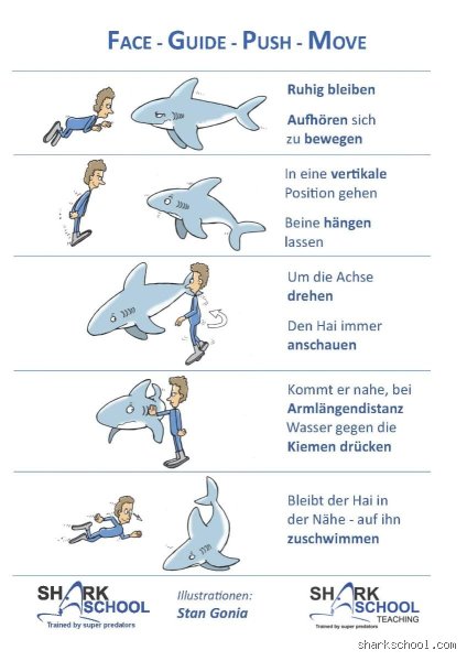 Was tun wenn man von einem Hai angegriffen wird: Der ultimative Überlebensratgeber für das Ozeanabenteuer