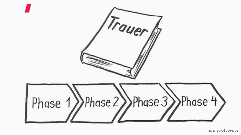 Trauer, du Biest! Welche 4 Phasen dich wirklich erwarten (und wie du sie meisterst!)