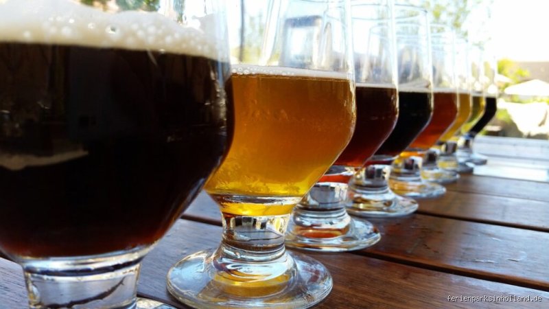 Wie alt muss man in Holland sein um Bier zu kaufen?