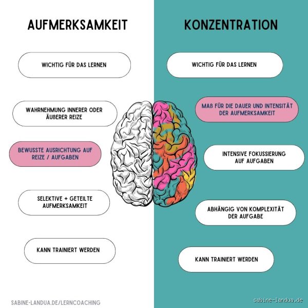 Achtung, fertig, los! Wie du deine Aufmerksamkeit meisterst (und warum das dein Leben verändern wird!)