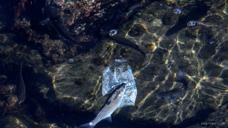 Ist das Mittelmeer schmutzig?