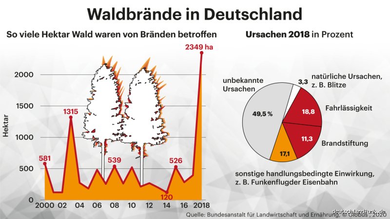 Wie entstehen die vielen Waldbrände in Deutschland?