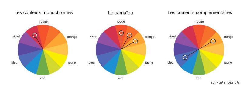 Quelles sont les deux couleurs qu'il ne faut pas associer dans vos projets visuels et vos tenues ?