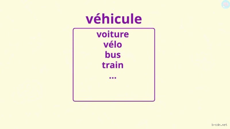 Quel est le mot générique de voiture ? Entre langage courant, jargon administratif et nuances techniques