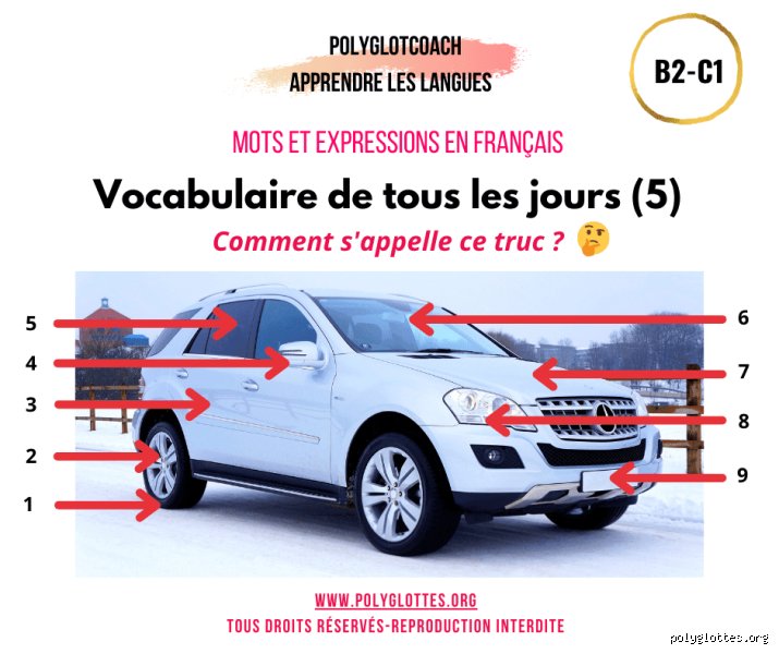 Quel est un mot pour désigner une voiture ? Voyage au cœur du lexique automobile