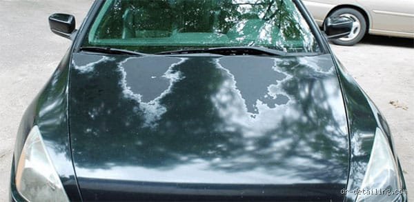 Quelle couleur de voiture s'abîme le moins ? Le guide ultime pour préserver sa carrosserie sans passer sa vie au lavage