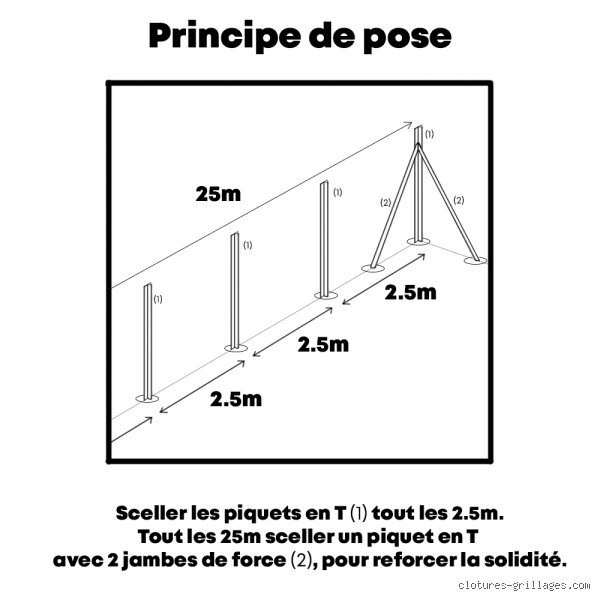 Quelle taille pour les jambes de force ?