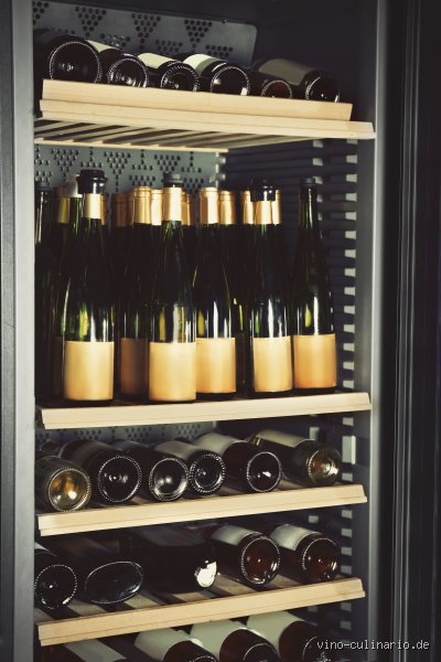 Kann man Wein im Kühlschrank lagern? Alles, was du darüber wissen musst