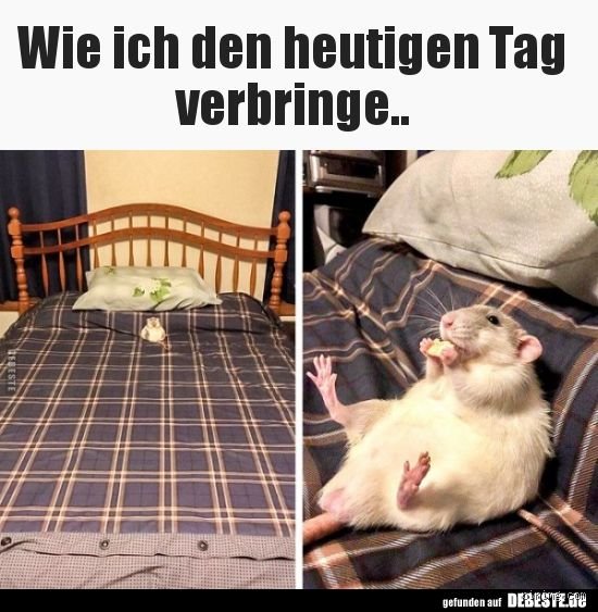 Wie verbringe ich den Tag?