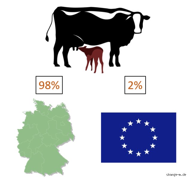 Ist McDonalds Rind oder Schwein?